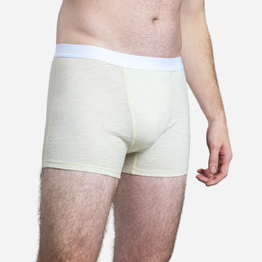 Men's Alpaca Wool Boxer Briefs: 160 Ultralight color Undyed
